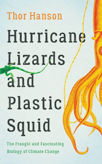 hurricane-lizards-and-plastic-squid