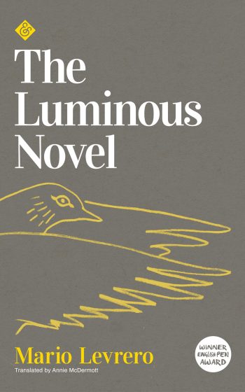 the-luminuous-novel
